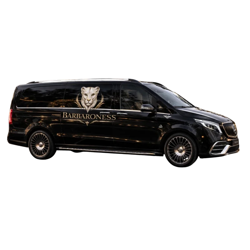 Minivan VIP
