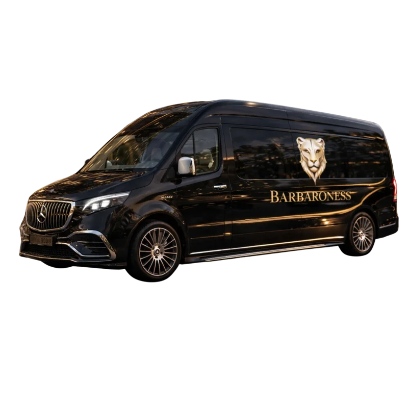 Minibus VIP